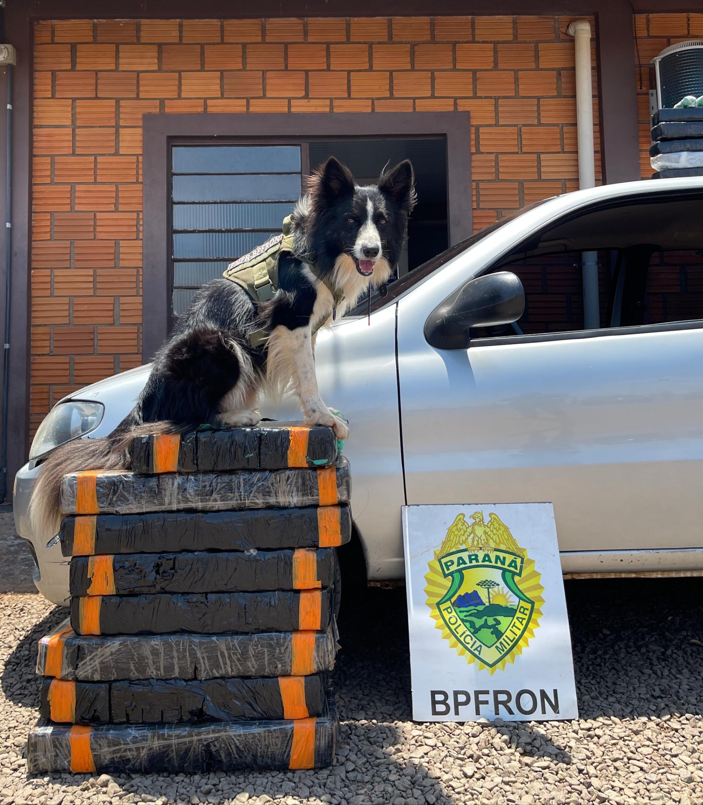 Policia Civil desmantela quadrilha envolvida com o tráfico de drogas e homicídios em Marechal Rondon